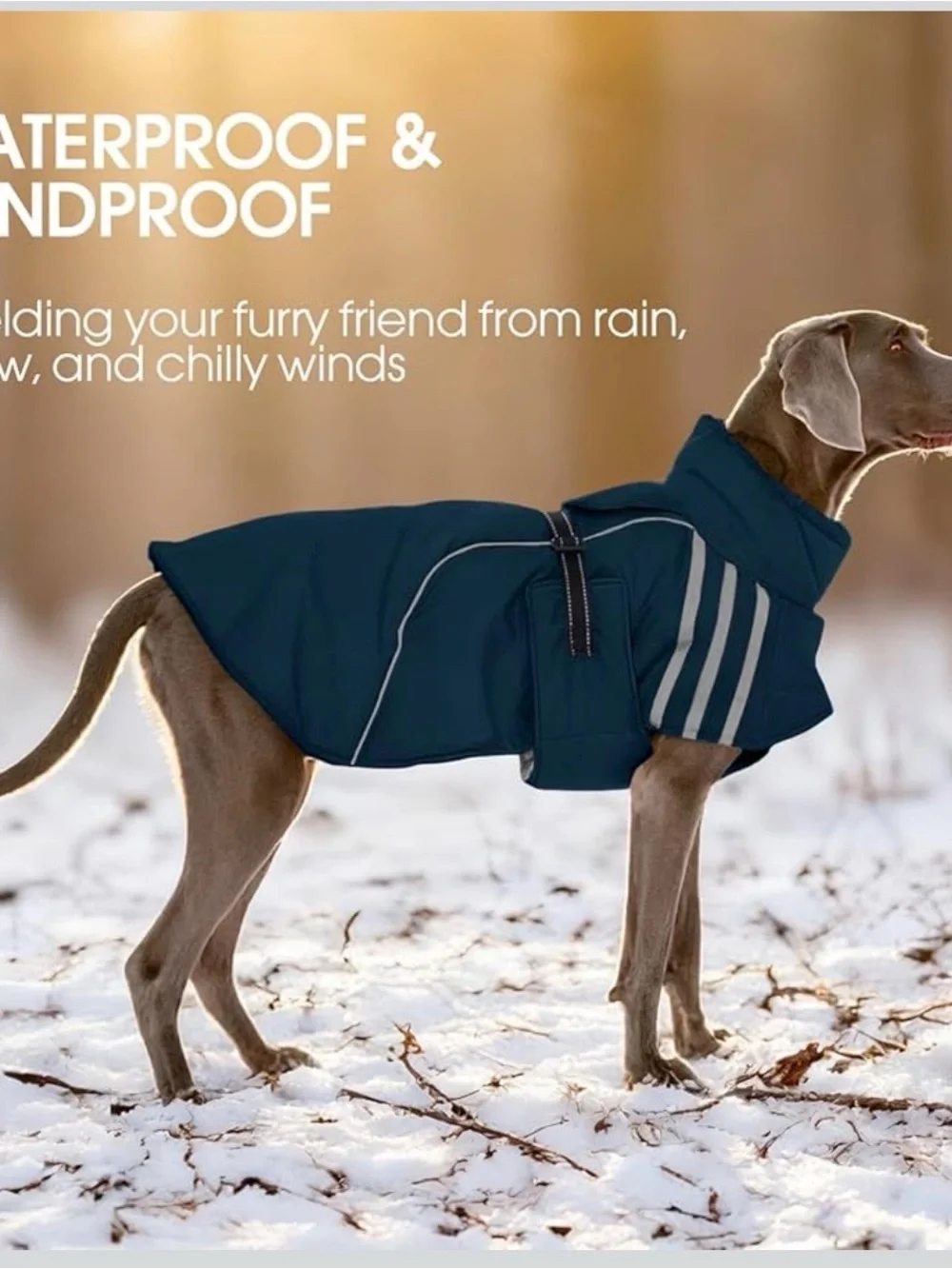 Reflective Navy Dog Waterproof Jacket with Buckle Closure